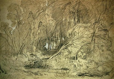 Een Open plek in een Bos door Miles Edmund Cotman