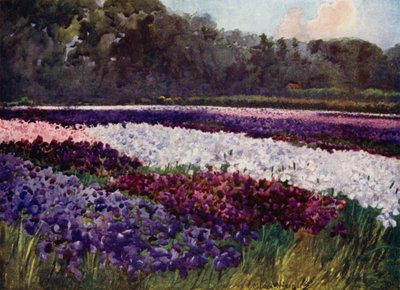 In smaragdgroene trossen, bloemen paars, blauw en wit, als saffier, parel en rijke borduurwerk door Mima Nixon