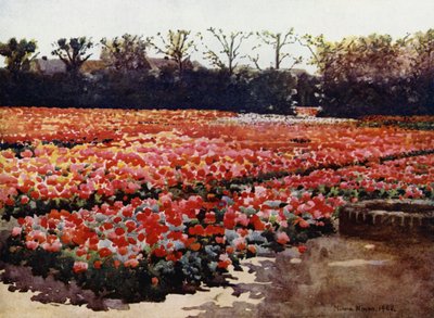 "Ze springen, ze knoppen, ze bloeien fris en mooi, en versieren de wereld met hun rijke pompeuze shows" door Mima Nixon