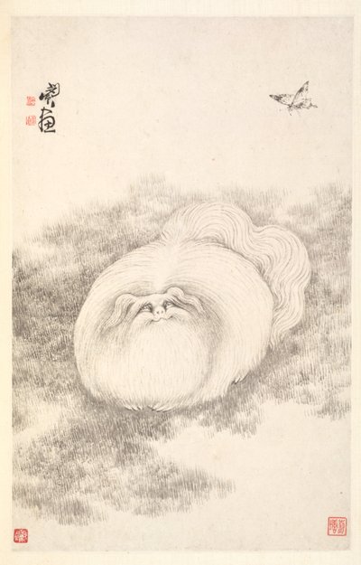 Kat en Vlinder, 1788 door Min Zhen