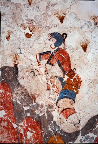 Minoïsche beschaving: vrouwen die saffraan plukken. Detail van een fresco uit het lustrale bassin van Xeste 3 in Akrotiri (Thera), Santorini. 16e eeuw v.Chr. Santorini, Collectie fresco
