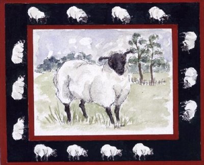 Schapen door Miranda Legard