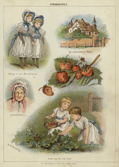 Aardbeien door Miss Eliza F. Manning