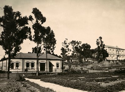 Kring van ambtenaren in Asmara, 09/05/1936 door Modestino Baldinetti