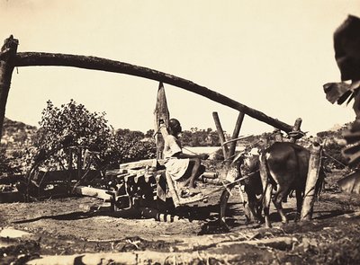 Het bouwen van een rijk in het fascistische tijdperk: inheemse Noria, 09/05/1936 door Modestino Baldinetti