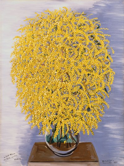 Mimosa