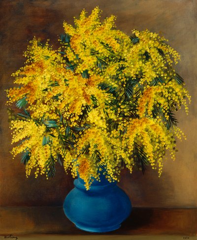 Vaas met mimosa