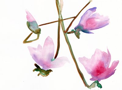 Magnolia 1 door Monica Perez Vega