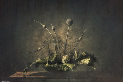 Donker botanisch stilleven door Monique van Velzen