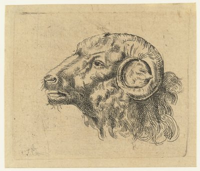 Kop van een ram door Monogrammist IFG (graveur)