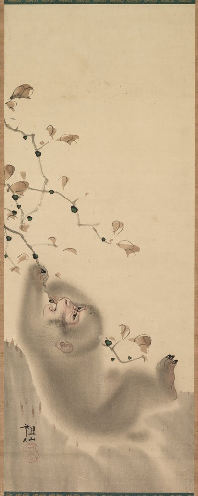Aap die aan een tak hangt, 1780 door Mori Sosen