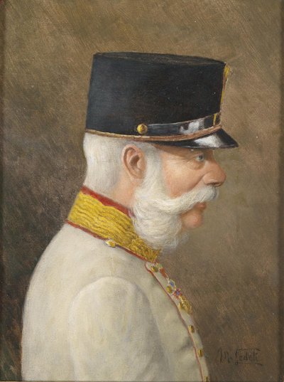 Portret van Franz Joseph I van Oostenrijk door Moritz Ledeli