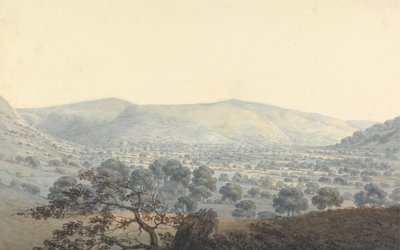 Ver uitzicht op Llandrillo door Moses Griffith