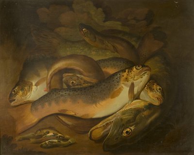 Vissen door Moses Haughton