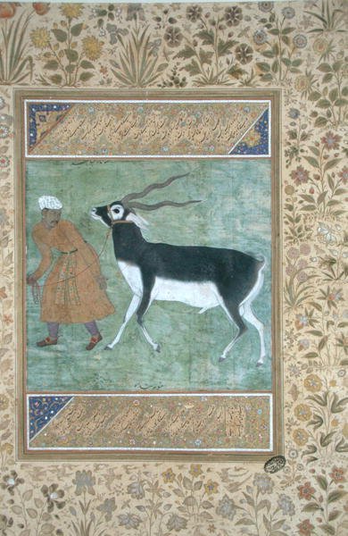 Een Indiase zwarte bok geleid door zijn verzorger, c.1616 door Mughal School
