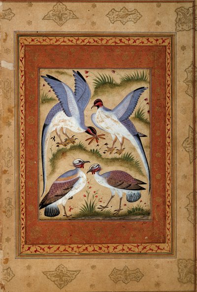 Vogels. Miniatuur gouache van de Mogolse school. 1590-1600. Parijs, Guimet Museum, Nationaal Museum voor Aziatische Kunsten door Mughal School