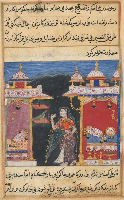 Pagina uit Verhalen van een Papegaai door Mughal School