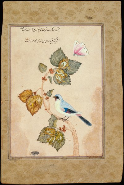 Een Vogel op een Hazelnoottak door Muhammad Shafi Abbasi
