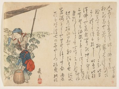 Theeplukkers, ca. 1830-44 door Murata Kagen