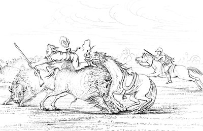 Buffel die een cowboy op een paard aanvalt door Myers and Co