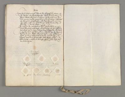 Certificaat van het verdrag in Den Haag gesloten tussen de Staten-Generaal en de Koning van Zweden om het tweede artikel van het verdrag van 5 april te verduidelijken door Unbekannt Unbekannt