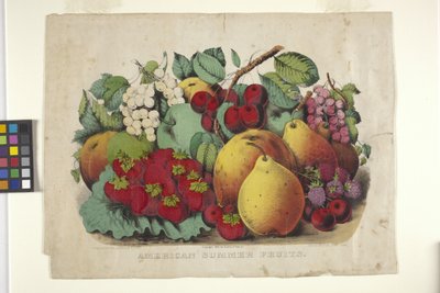 Amerikaans zomerfruit door N. and Ives J.M. (1824 95) Currier