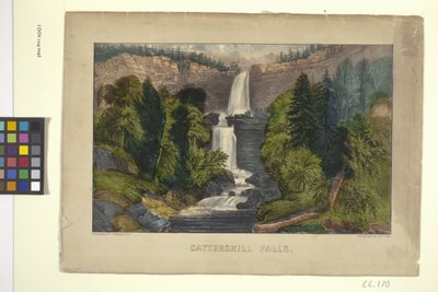 Catterskill Falls door N. and Ives J.M. (1824 95) Currier