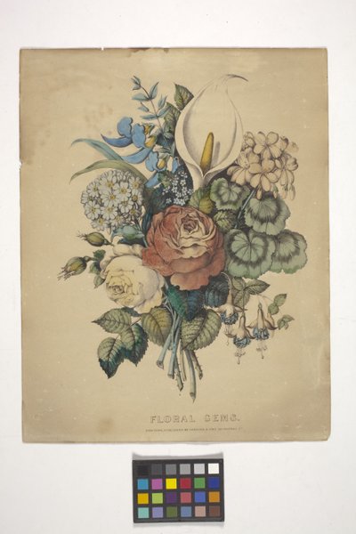 Bloemjuwelen door N. and Ives J.M. (1824 95) Currier