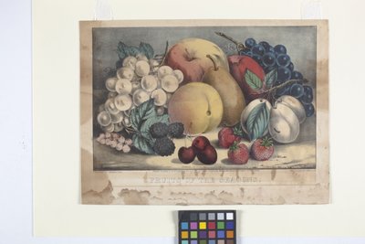 Vruchten Van Het Seizoen door N. and Ives J.M. (1824 95) Currier
