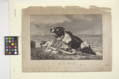 Hij is gered door N. and Ives J.M. (1824 95) Currier