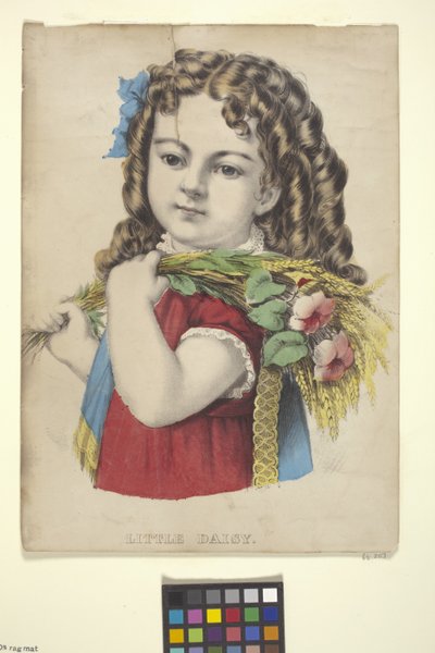 Kleine Daisy door N. and Ives J.M. (1824 95) Currier
