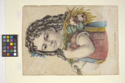 Kleine Daisy door N. and Ives J.M. (1824 95) Currier