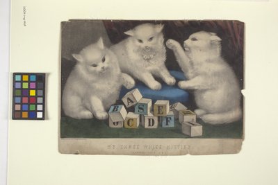 Mijn drie witte kittens door N. and Ives J.M. (1824 95) Currier