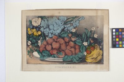 Aardbeien door N. and Ives J.M. (1824 95) Currier