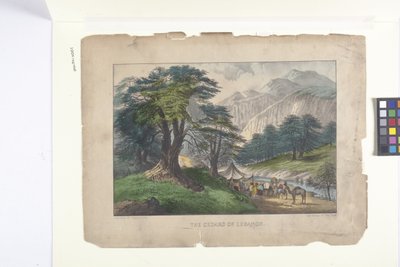 De ceders van Libanon door N. and Ives J.M. (1824 95) Currier