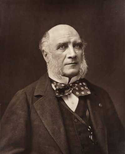 Élie-Louis, hertog Decazes Franse staatsman en diplomaat, 1819-1886, ca. 1853-1877 door Nadar