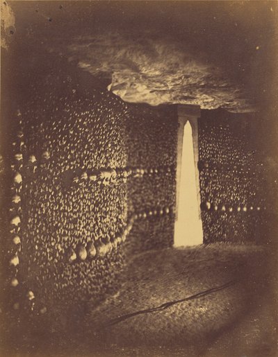 [Licht en bocht]. door Nadar [Gaspard Félix Tournachon]