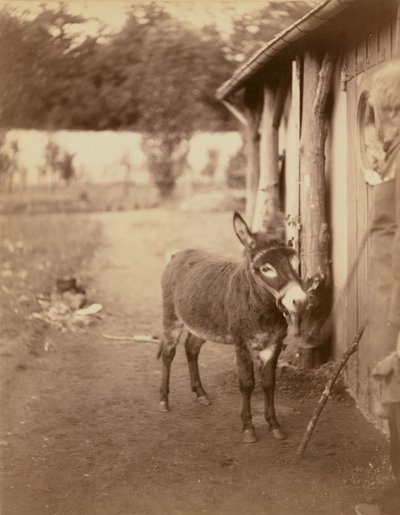 Sénart, de Biribi ezel door Nadar [Gaspard Félix Tournachon]