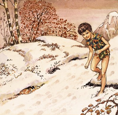 Peter Pan door Nadir Quinto