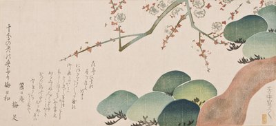 Pijnboom en Pruimenbloesem, 1810-30 door Nakamura Hochu