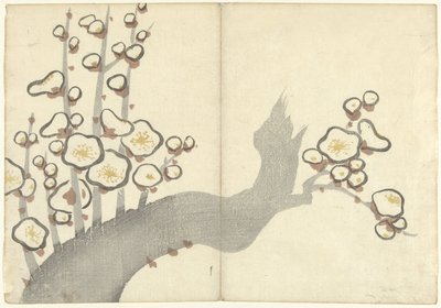 Pruimenbloesem door Nakamura Hochu