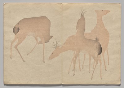 Scène uit Het Kōrin Prentenboek (Deel 1) door Nakamura Hochu