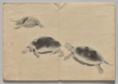 Scène uit Het Kōrin Prentenboek (Deel 2) door Nakamura Hochu
