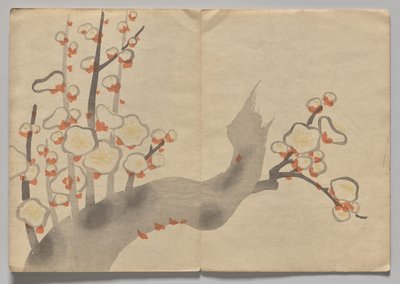Scène uit Het Kōrin Prentenboek (Deel 2) door Nakamura Hochu