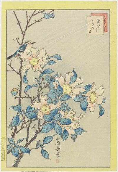 Blauwe vogel en roze bloemen, 1859 door Nakayama Sugakudo