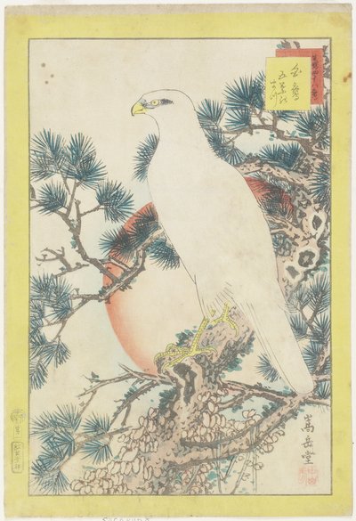 Nr. 1, Witte valk en vijfnaaldige den, 1859 door Nakayama Sugakudo