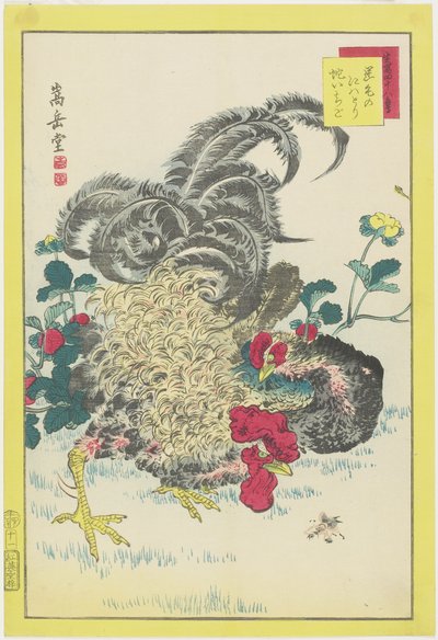 Haan en frambozen, juni 1859 door Nakayama Sugakudo