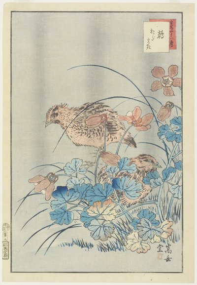 Twee kwartels in struikgewas, 1859 door Nakayama Sugakudo
