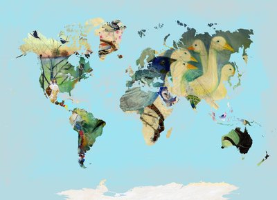 Een Vogelwereld, 2016 door Nancy Moniz Charalambous