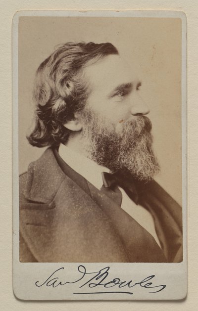 Samuel Bowles II door Napoleon Sarony